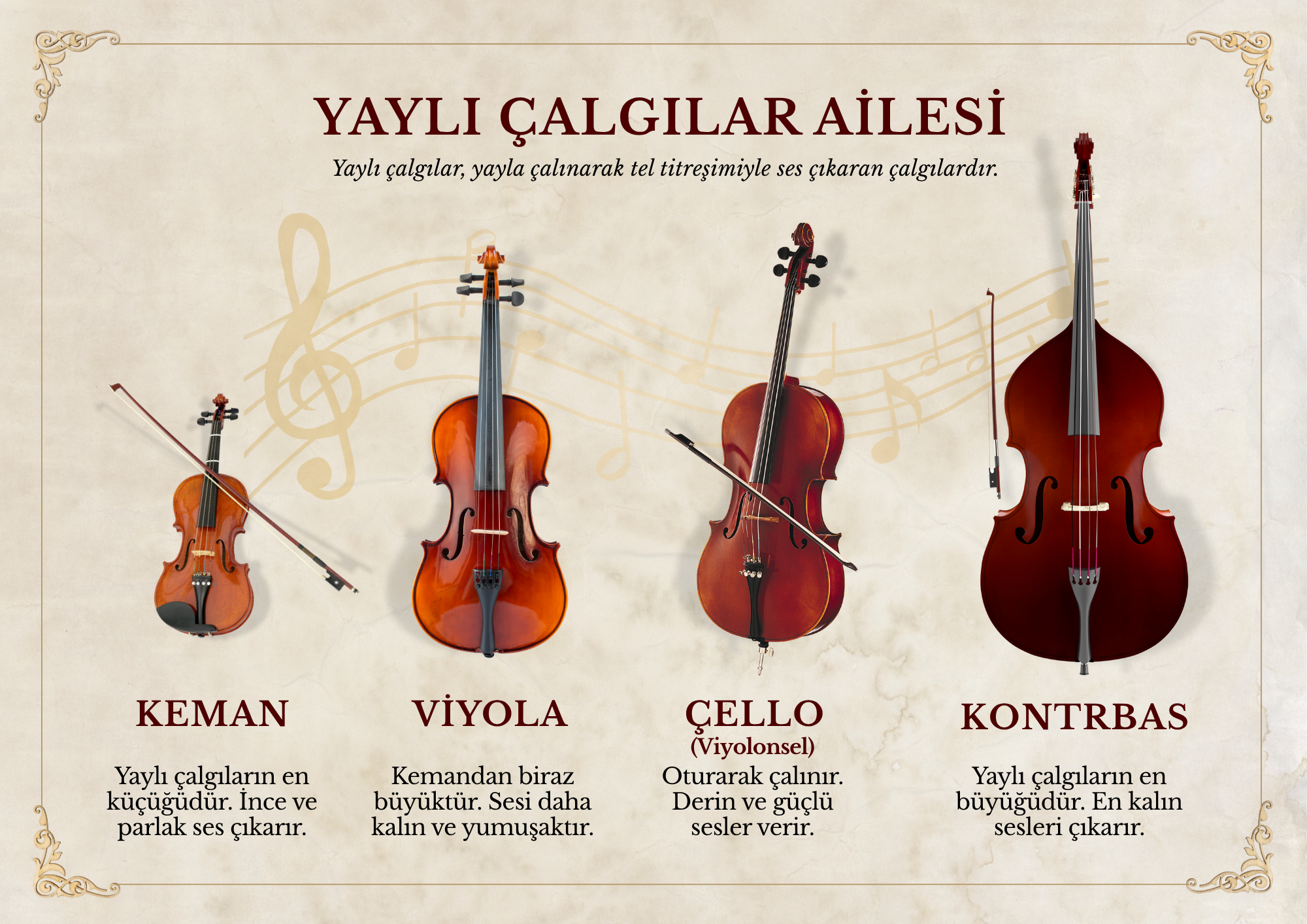 Yaylı Çalgılar Ailesi Afişi PNG | Müzik Dersi Sınıf Panosu Materyali